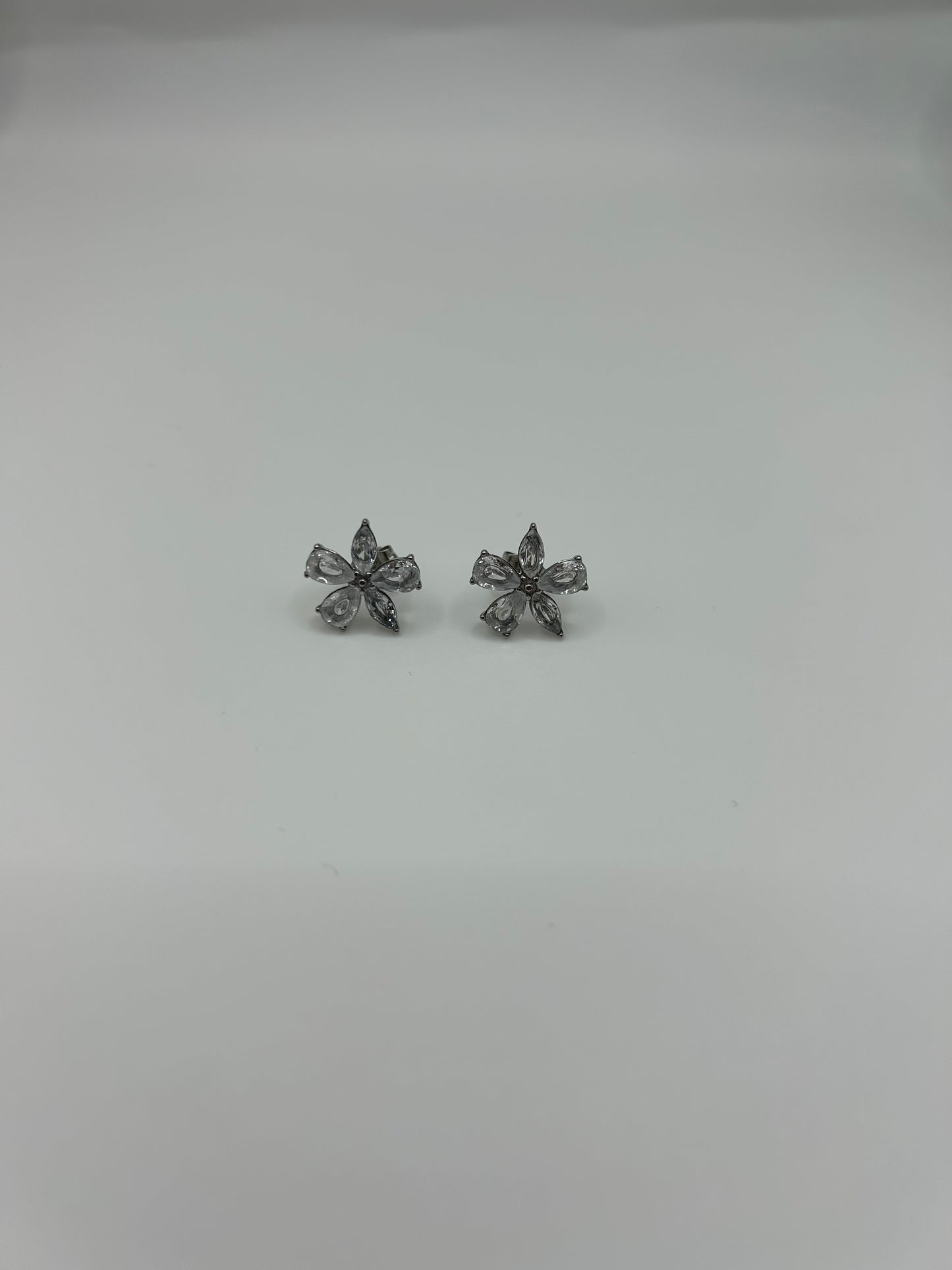 Brincos Rosane prateado